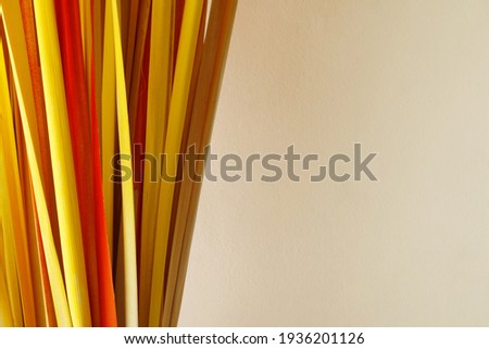 Dry Cattail plant or Reeds on white background