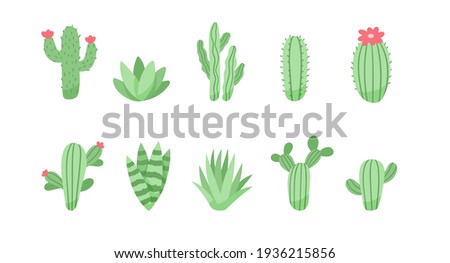 Set of cute cactus and succulents, vector illustration in flat style Royalty-Free Stock Photo #1936215856
