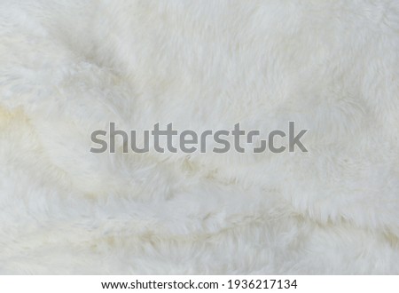 White wool texture background design beautiful abstract white feather backdrop