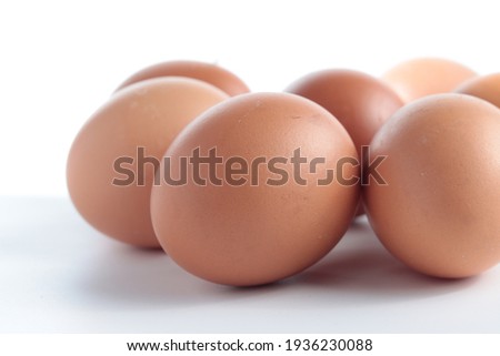eye level view of chicken eggs isolated in white background. selective focus.