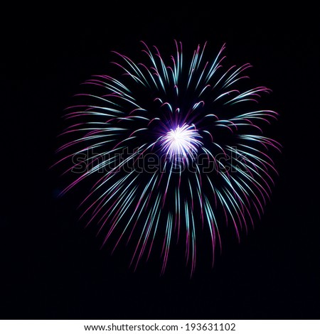 A blooming firework Picture of a firework which looks like a illuminated flower blooming in the sky.