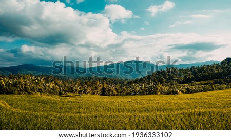 Tropical rural landscape with beautiful rice fields and mountains Royalty-Free Stock Photo #1936333102