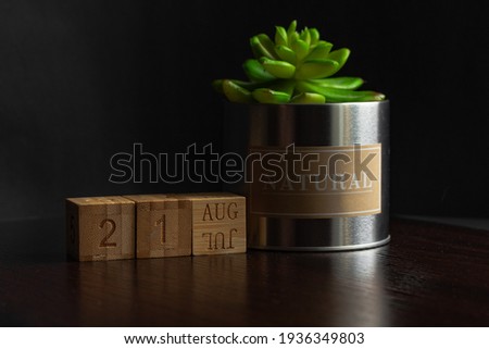 Aaugust 21. Image of the calendar August 21 wooden cubes and an artificial plant on a brown wooden table reflection and black background. with empty space for text