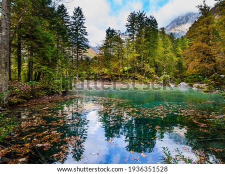 Travel to Slovenia. Julian Alps. Picturesque shallow lake with glacial greenish water, covered with fallen leaves. A light fog rises above the water. Autumn forest in a mountain valley