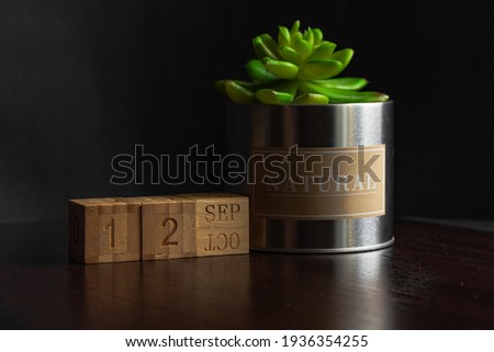 September 12. Image of the calendar September 12 wooden cubes and an artificial plant on a brown wooden table reflection and black background. with empty space for text