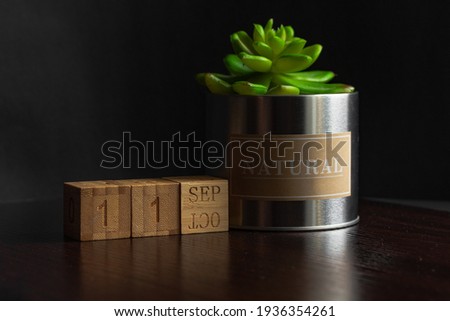 September 11. Image of the calendar September 11 wooden cubes and an artificial plant on a brown wooden table reflection and black background. with empty space for text