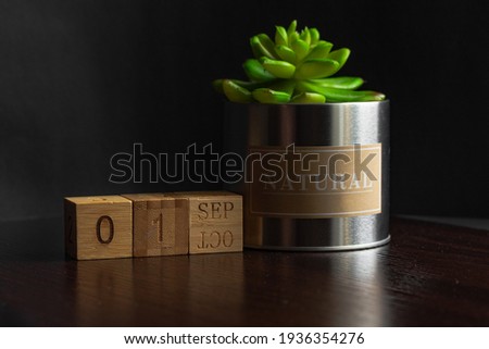 September 01. Image of the calendar September 01 wooden cubes and an artificial plant on a brown wooden table reflection and black background. with empty space for text