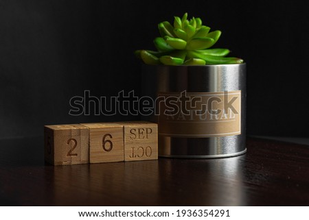 September 26. Image of the calendar September 26 wooden cubes and an artificial plant on a brown wooden table reflection and black background. with empty space for text