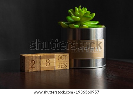 October 28. Image of the calendar October 28 wooden cubes and an artificial plant on a brown wooden table reflection and black background. with empty space for text
