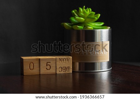 November 05. Image of the calendar November 05 wooden cubes and an artificial plant on a brown wooden table reflection and black background. with empty space for text