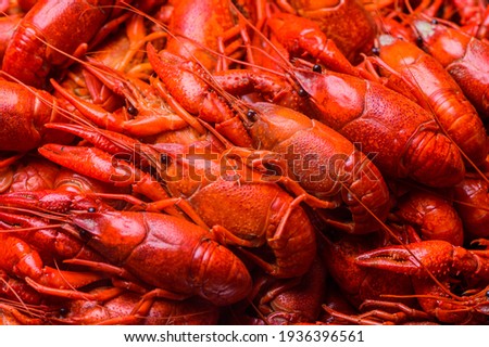 Boiled crawfish that ready for serving Royalty-Free Stock Photo #1936396561