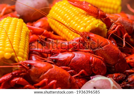 Boiled crawfish that ready for serving Royalty-Free Stock Photo #1936396585