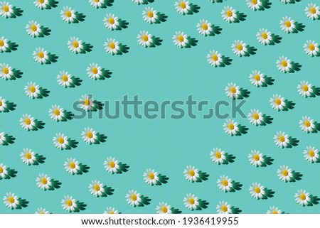 Creative pattern made of camomile flowers on colorful background. Floral layout for seasonal cards, blogs, posters and web design. Summer concept.Top view. Flat lay. Minimal style. Copy space Royalty-Free Stock Photo #1936419955