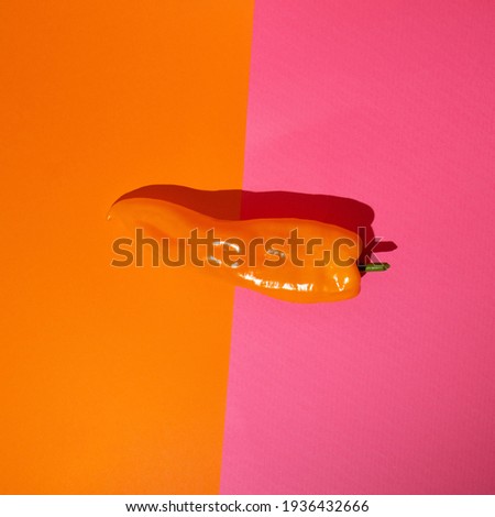 Orange pepper on a colorful background.Minimal concept.
