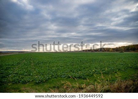 Panorama of an Agra field in autumn with cloudy skies and breaking sun rays