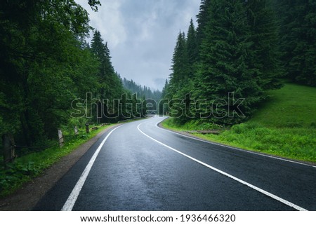 Road in foggy forest in rainy day in spring. Beautiful mountain curved roadway, trees with green foliage in fog and overcast sky. Landscape with empty asphalt road through woods in summer. Travel Royalty-Free Stock Photo #1936466320