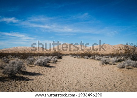 View of the Kelso Sand Dunes in the Mojave Desert
