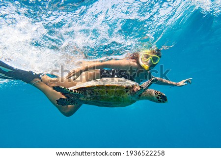 Snorkeling with a sea turtle. Girl swimming with a mask next to the turtle, Maldives Royalty-Free Stock Photo #1936522258