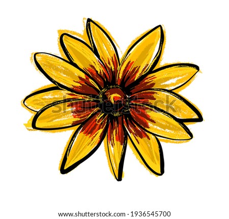 Black-eyed Susan Rudbeckia Hirta flower. Illustration of a freehand sketch.