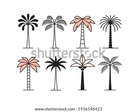 Graphic palm tree icon, logo set. Tropical plants collection.