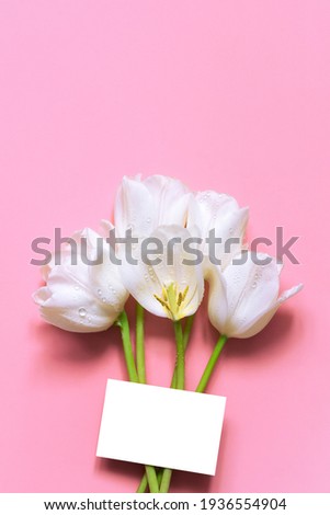 Five white tulips with water drops on a pink background. Holiday card with spring flowers for wedding day, mother's day, women's day, birthday, Valentine's day. Flat lay, copy space, vertical image.