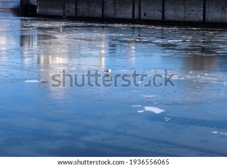 Seagulls on the frozen water at the port of Kiel Royalty-Free Stock Photo #1936556065