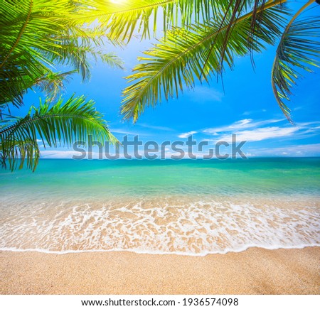 Green leaves of  Palm tree and tropical beach Royalty-Free Stock Photo #1936574098
