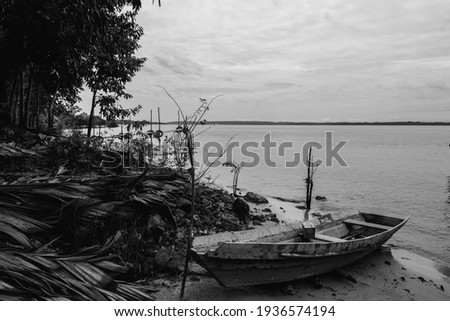 black and withe photo from Amazon River.