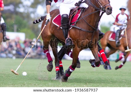 
polo players and teams in a match Royalty-Free Stock Photo #1936587937