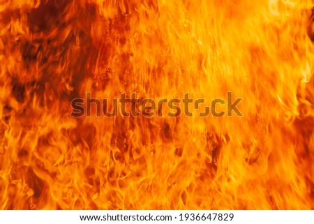 Flame of fire. Fire background. Texture.