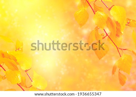Indian summer. Beautiful autumn landscape with yellow trees and sun. Colorful foliage in the park. Falling leaves natural background.  Royalty-Free Stock Photo #1936655347