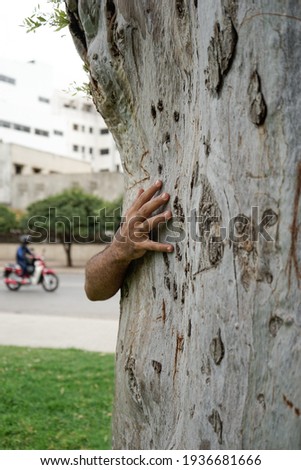 Young man holding a tree with his right hand and his body and face are hidden behind the tree during Spring time Royalty-Free Stock Photo #1936681666