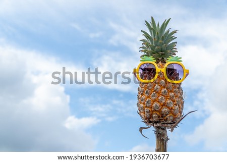 pineapple with glasses and a blue cloud in the right corner of the picture