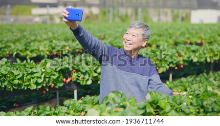 agriculture technology concept - successful asian senior male agronomist take selfie with his crop and greenhouse