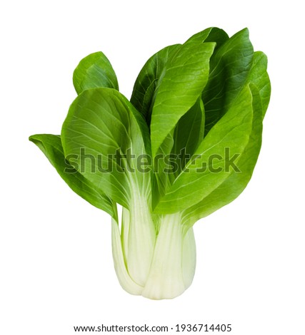 Bok choy vegetable isolated on the white background. Royalty-Free Stock Photo #1936714405