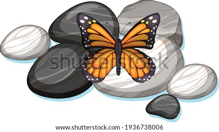 Top view of butterfly on a stone on white background illustration