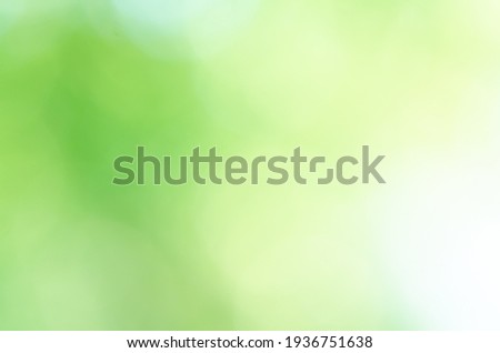 Blurred green Bokeh natural tree in parks with bight sunlight