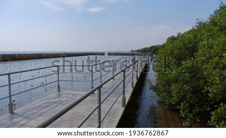 the bridge along the mangrove forest and blue sky