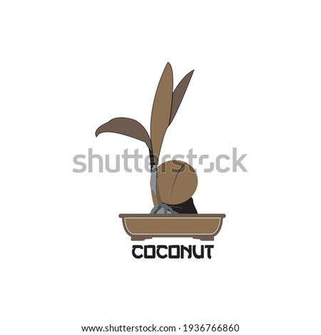 vector graphic illustration coconut bonsai great for icon, logo, design and others