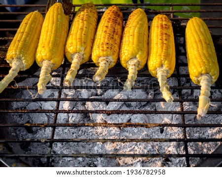 Grilled corn on the grill, street food ready to serve. Grilled vegetables, vegetarian food, bbq corn.