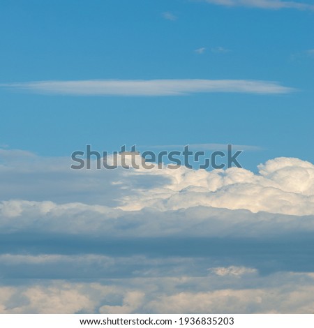 Wildlife photography. Cumulus clouds are clouds that have flat bases and are often described as â€œpuffyâ€, â€œcotton-likeâ€ or â€œfluffyâ€ in appearance.