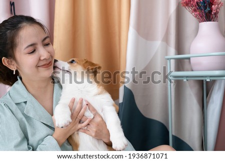 Curly woman playing with corgi pappy. Cheerful young lady smiles and sits on the floor with dog kiss her cheek. love pet best friend and family concept