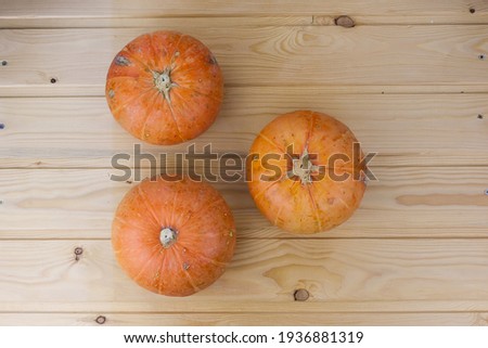 Fresh pumpkins in a row on a wooden dark vintage table, banner. Rustic style. Thanksgiving and halloween holiday concept. Toned image. Selective focus