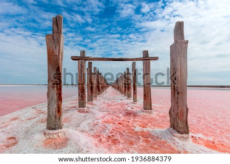  Real pink color of salt lake and deep blue sky,  minimalistic natural landscape, Ukraine travel background. Miracle of nature  Royalty-Free Stock Photo #1936884379