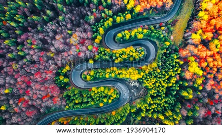 Carpathian Mountains, Romania. Winding road in fall forest scenery, mountain landscape, Cheia - Prahova.