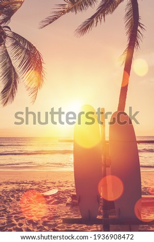 Surfboard and palm tree on beach double exposure with colorful bokeh sun light texture abstract background. Summer vacation and sport extreme concept. Vintage tone filter color style.