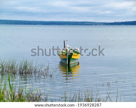 image of a boat with birds sitting on it on the calm surface of the lake in cloudy weather        