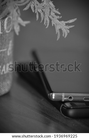 Close-up portrait of two phone near a plant