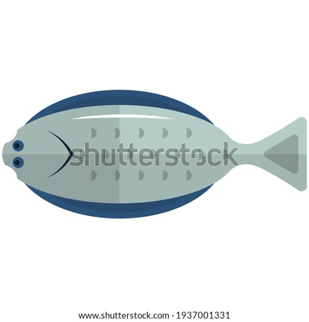 Halibut fish vector. Flounder illustration. Atlantic sole flatfish animal. Marine underwater life, seafood icon isolated on white background