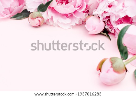 Frame of pink peonies on a pink background.Concept of Mother's Day, St.Valentine's Day, International Woman's Day.Spring concept.Copy space for text,close up.